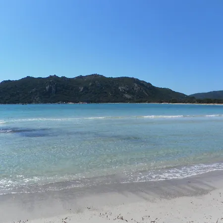 Appartement Dormir A Porto Vecchio T3 7 Pers Piscine Plage A 20 Min *